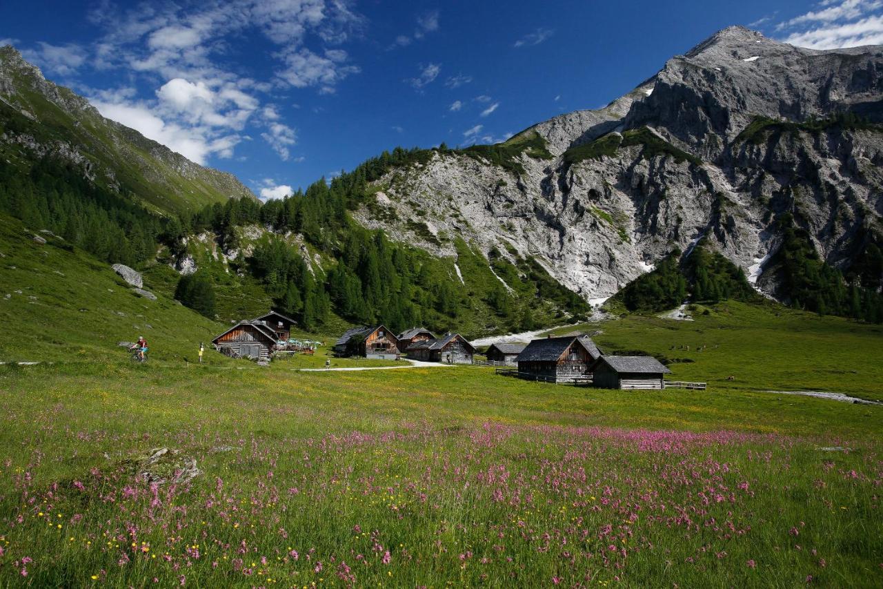 Apartments Haufhof , Haus Im Ennstal Bei Schladming Extérieur photo